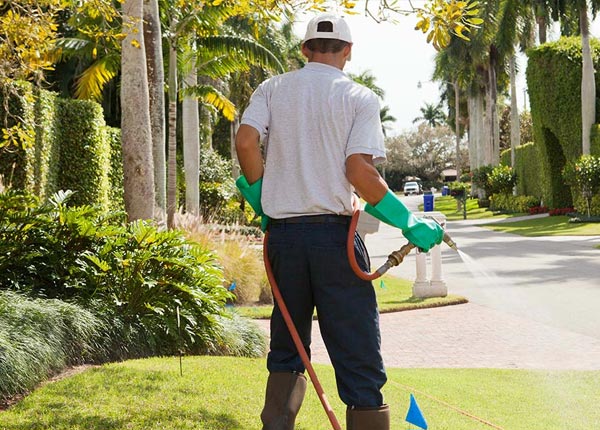 About Brandsville MO Pest Control